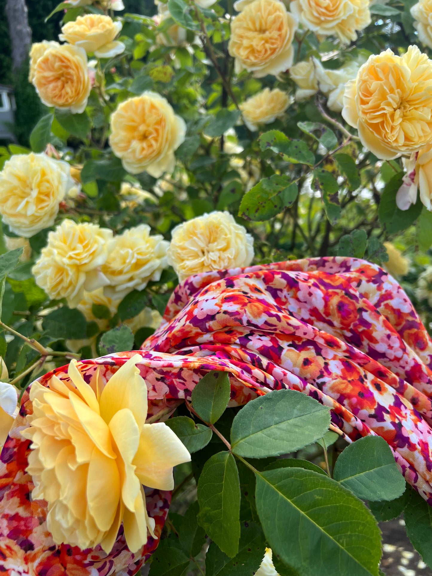 Chiffon Hijab: Floral Explosion