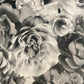 Printed Jersey Hijab: Vixen Cold Roses