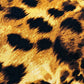 Printed Jersey Hijab: Tigre Salvaje