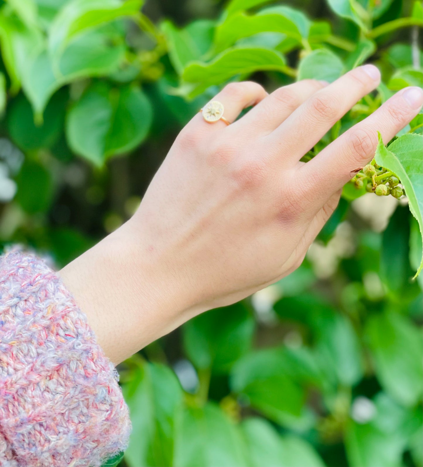 Gold Ring: North Star